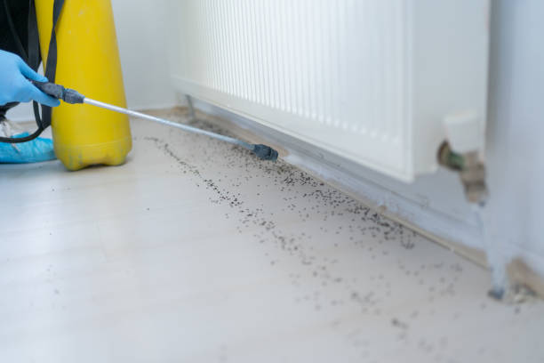 Best Pest Prevention Services  in Wellington, UT